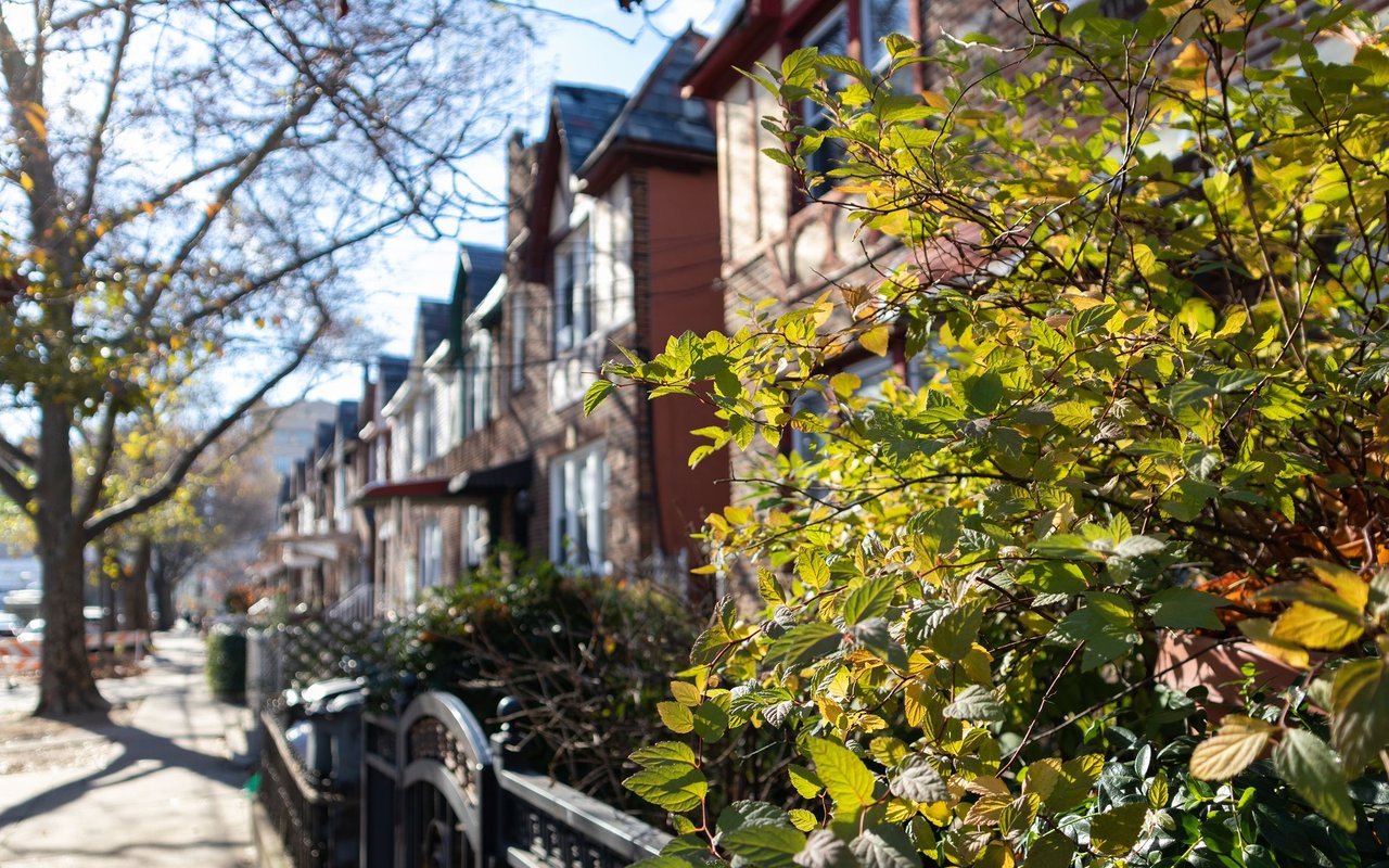 Ozone Park