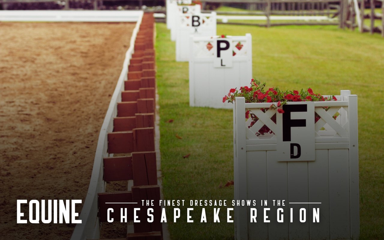 Discover The Finest Dressage Shows In The Chesapeake Region