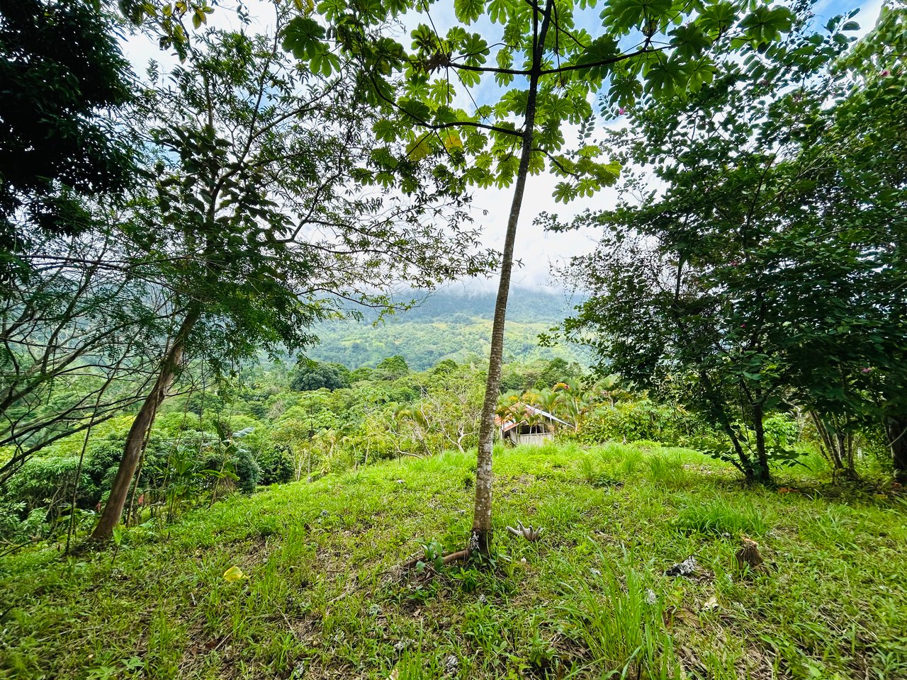 Ocean & Mountain View Lot with Multiple Building Sites-20 Minutes from Uvita