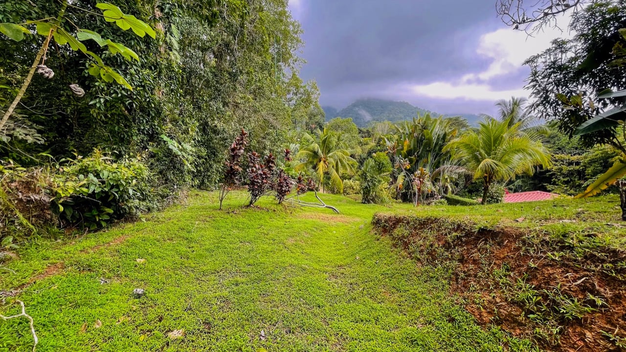 Two Homes on 1.55 Acres with Ocean & Mountain Views – Plus Room to Build!