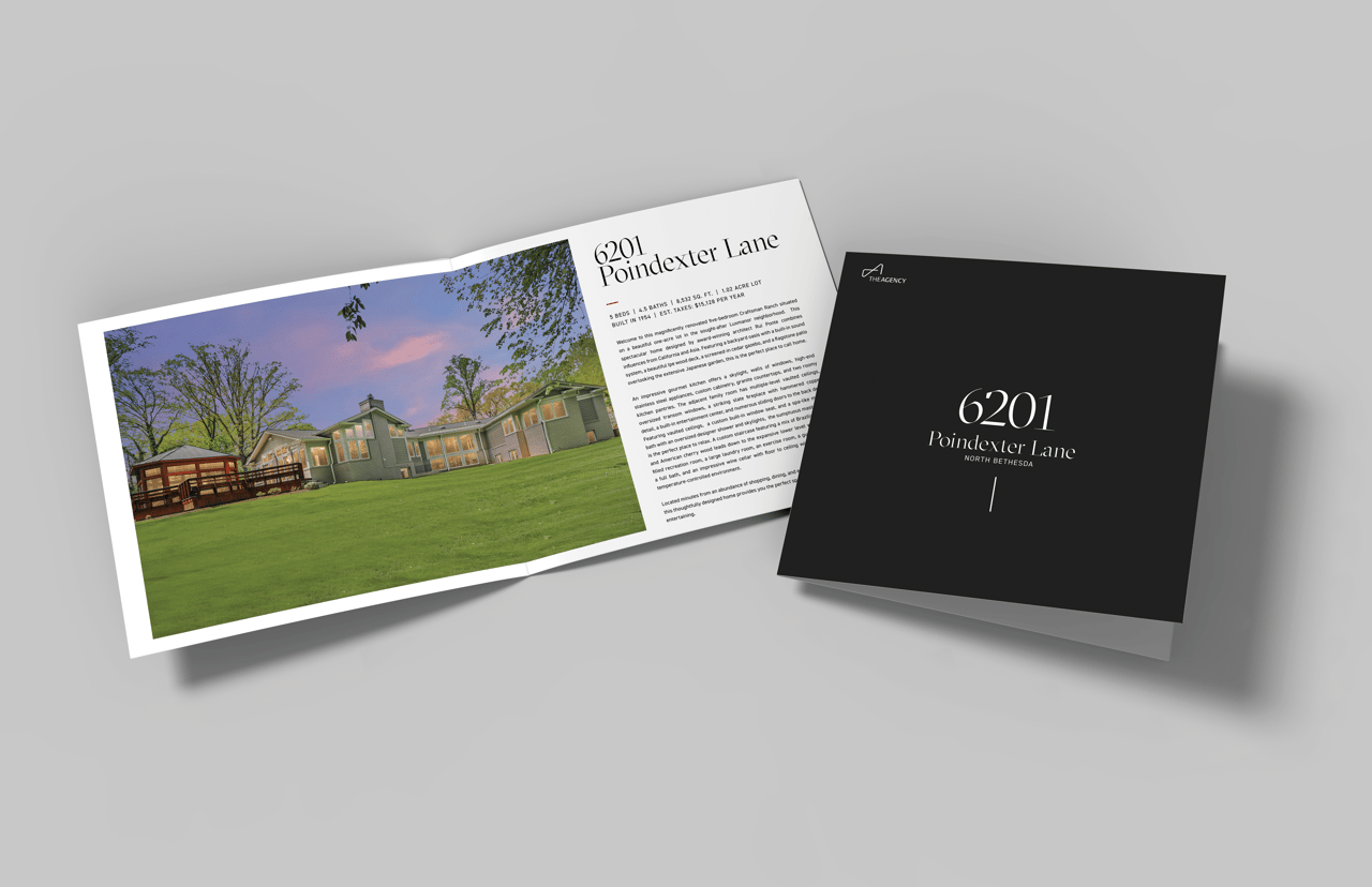 Professional Brochure
