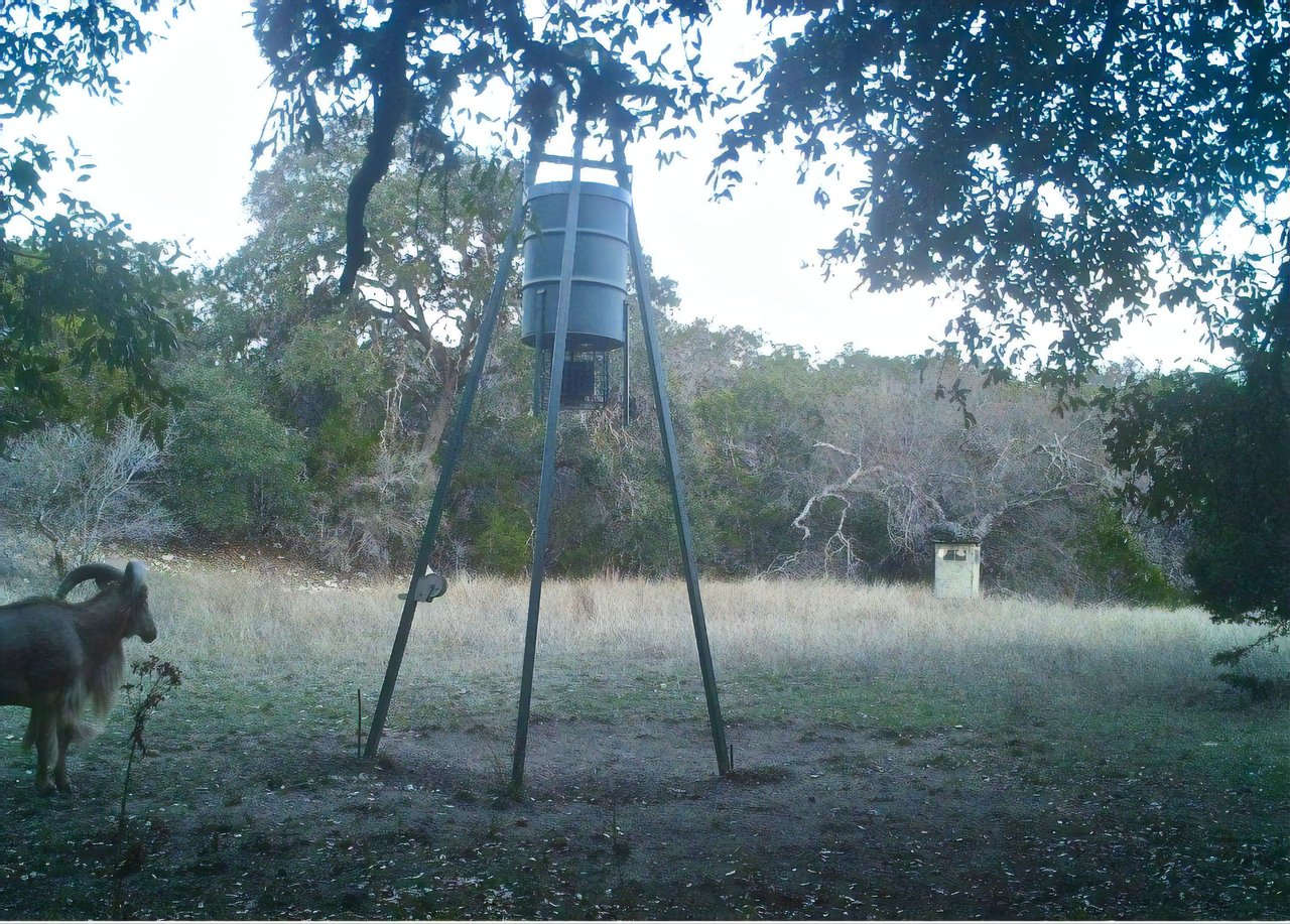 191 Acres in Bandera County