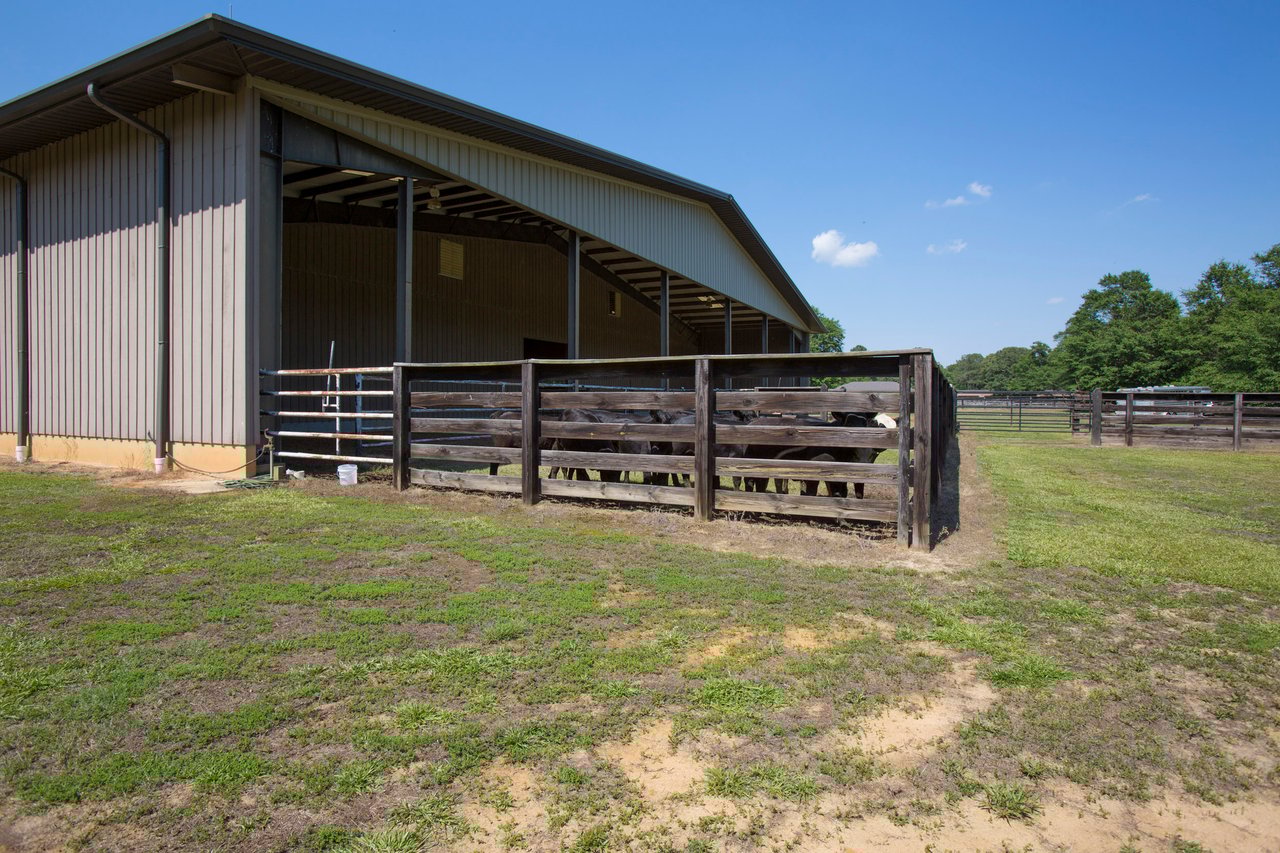 Equestrian Estate at 411 New Hope Church Road