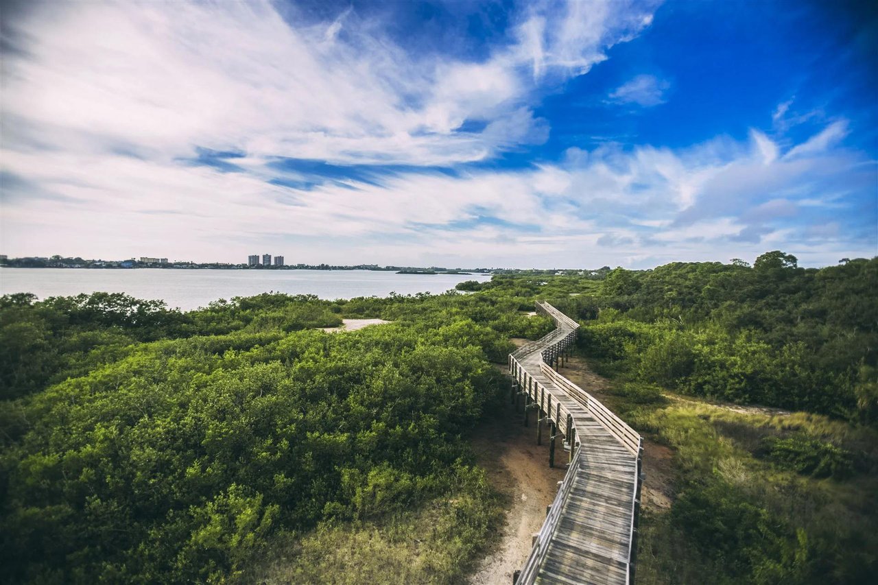 Visitors hiking a scenic nature trail surrounded by Florida's native landscape in the Tampa Bay area.