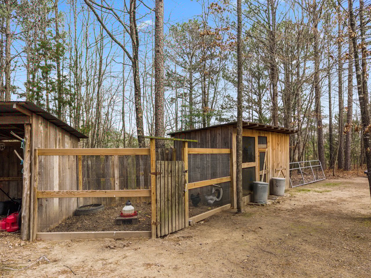 Thunder Mountain Homestead