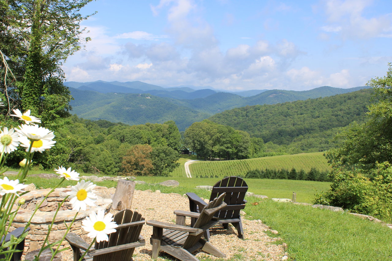 Land, Legacy & Conservation