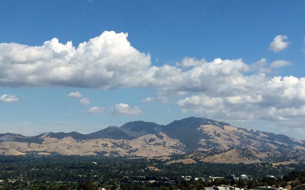 Diablo Magazine: 2025 Best of the East Bay Winners