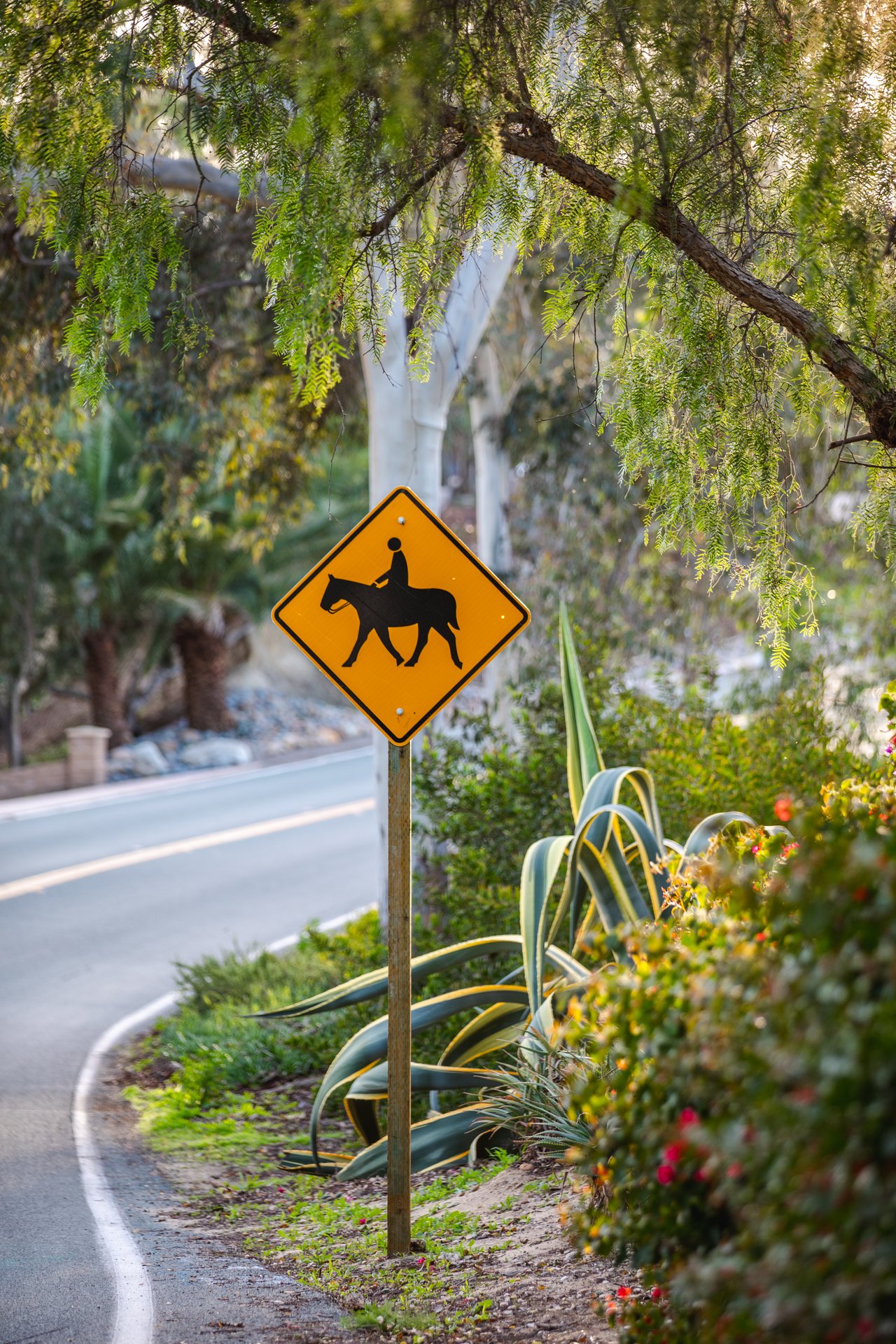 Sustainable Luxury Living in Rancho Santa Fe: Where Eco-Friendly Innovation Meets High-End Living