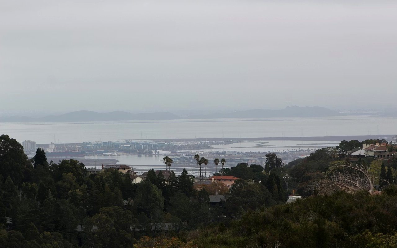 Everything You Need to Know About Investing in Real Estate in Redwood City CA