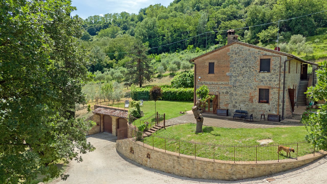 ARGENTO VIVO