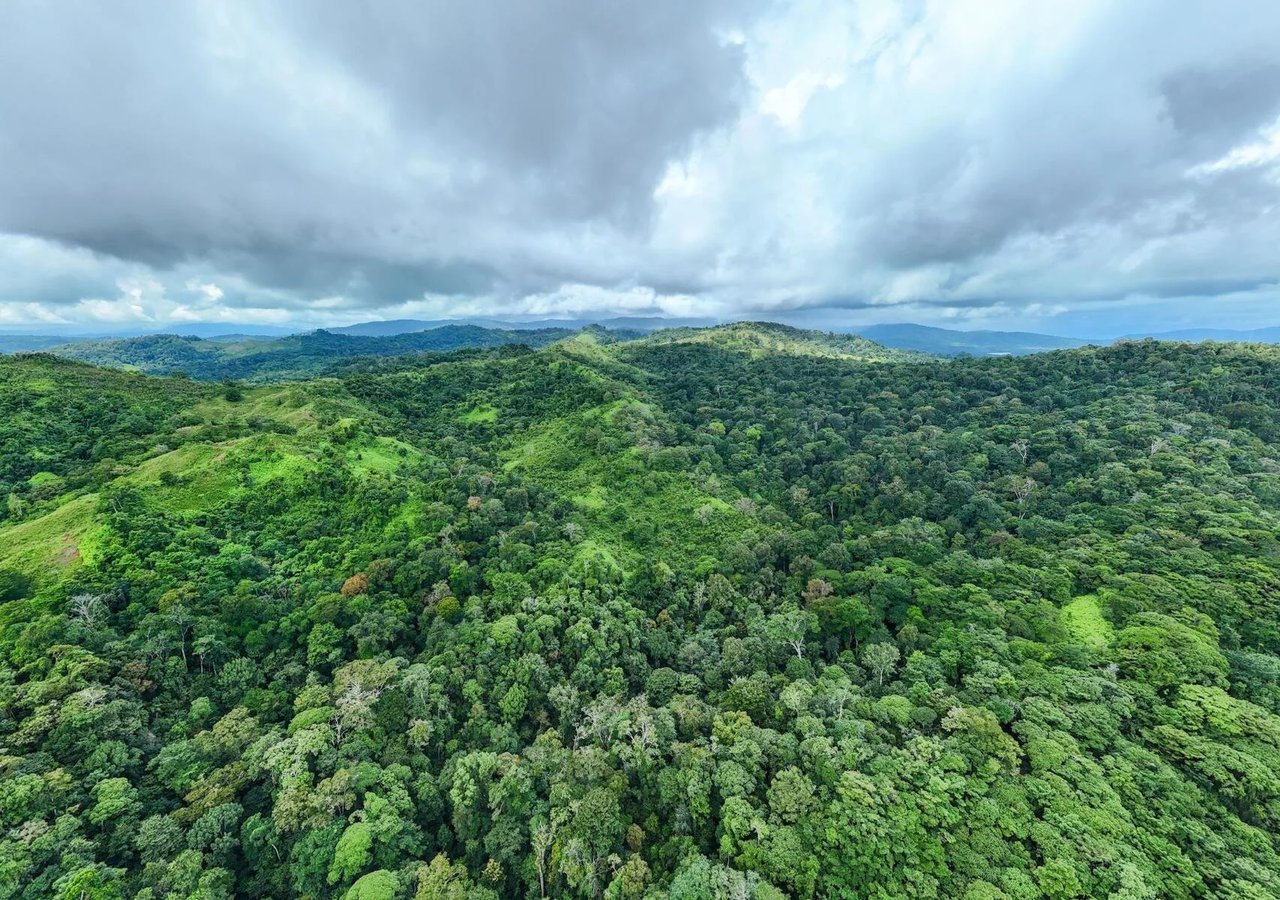 Riverside Rainforest Development Land, Osa, Puntarenas
