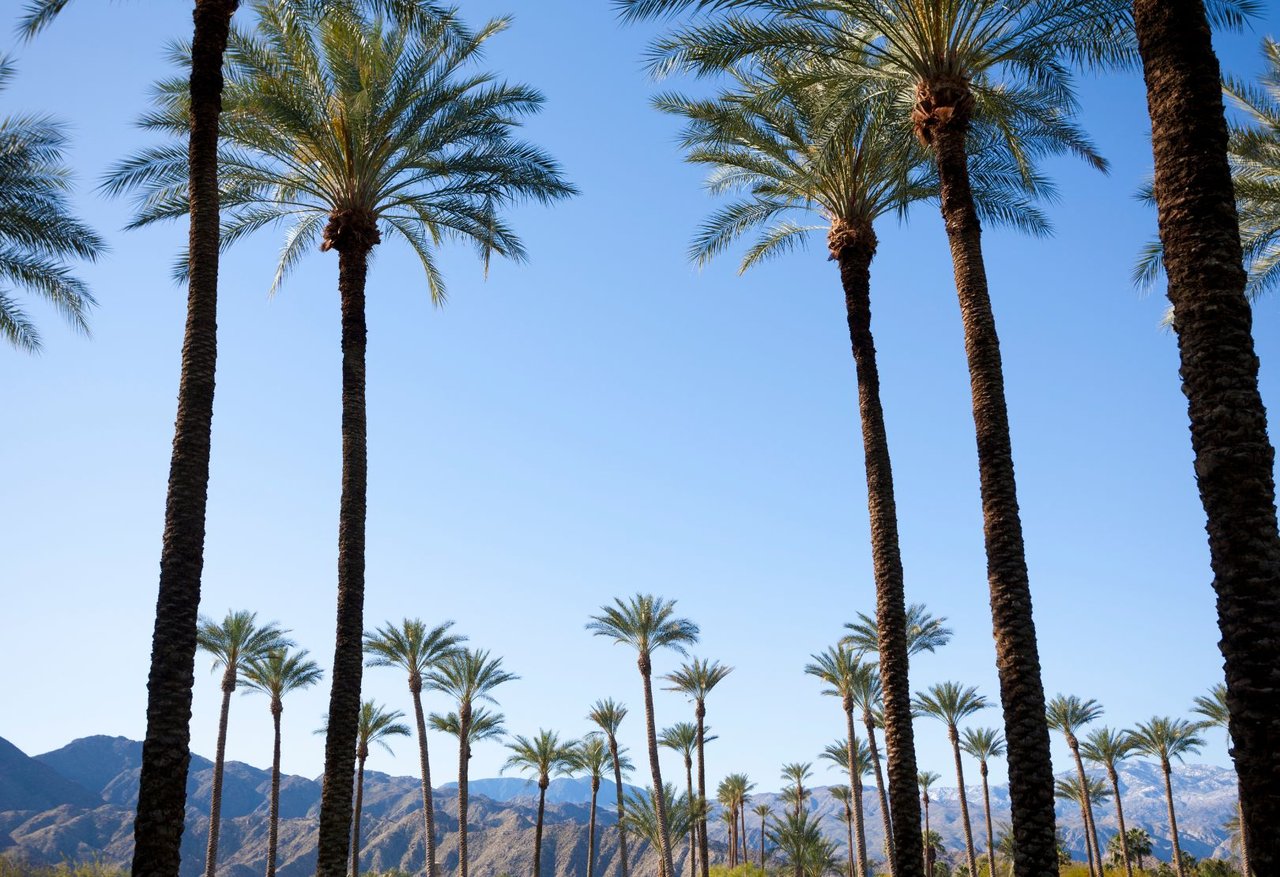 June 2026 in Greater Palm Springs: Festivals, Food, Film & Desert Living