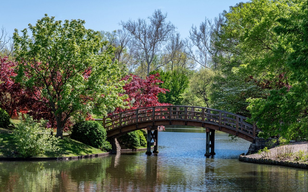 Blue Springs