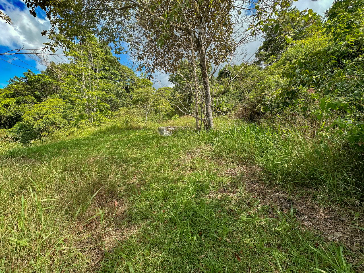 Tinamastes Costa Rica Property with Home, Yoga Deck & Land