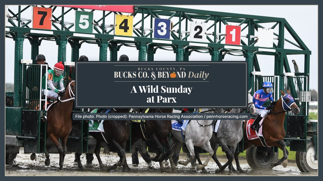 File photo of regular horse racing: horses and jockeys break from the starting gate at Parx Racing in Bensalem.