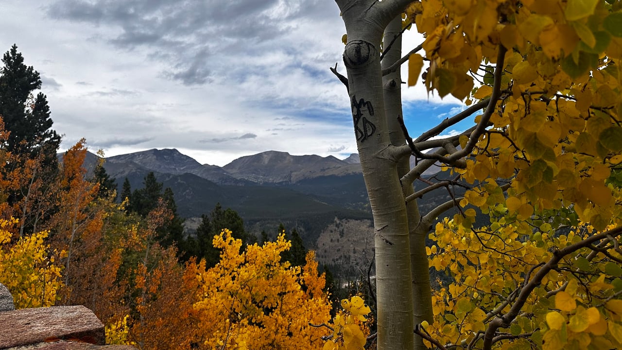 Where the Road Meets the Sky: Driving Trail Ridge Road