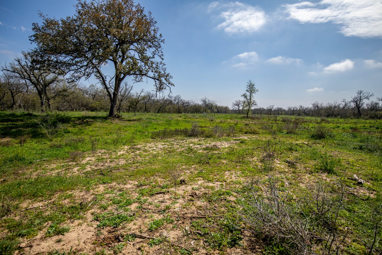 Dry Hollow Creek Ranch | 21.96± Acres | Bexar County
