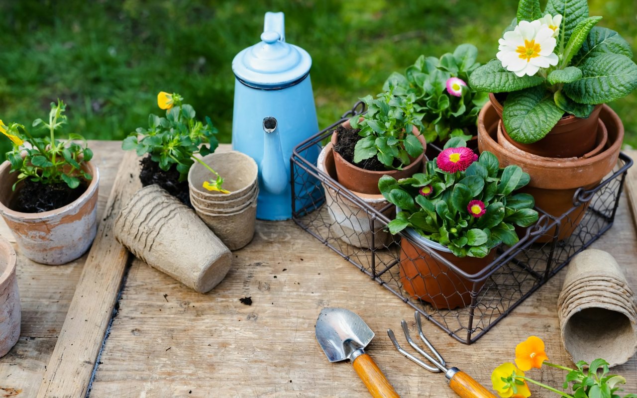 Top Landscaping Tips to Improve Curb Appeal