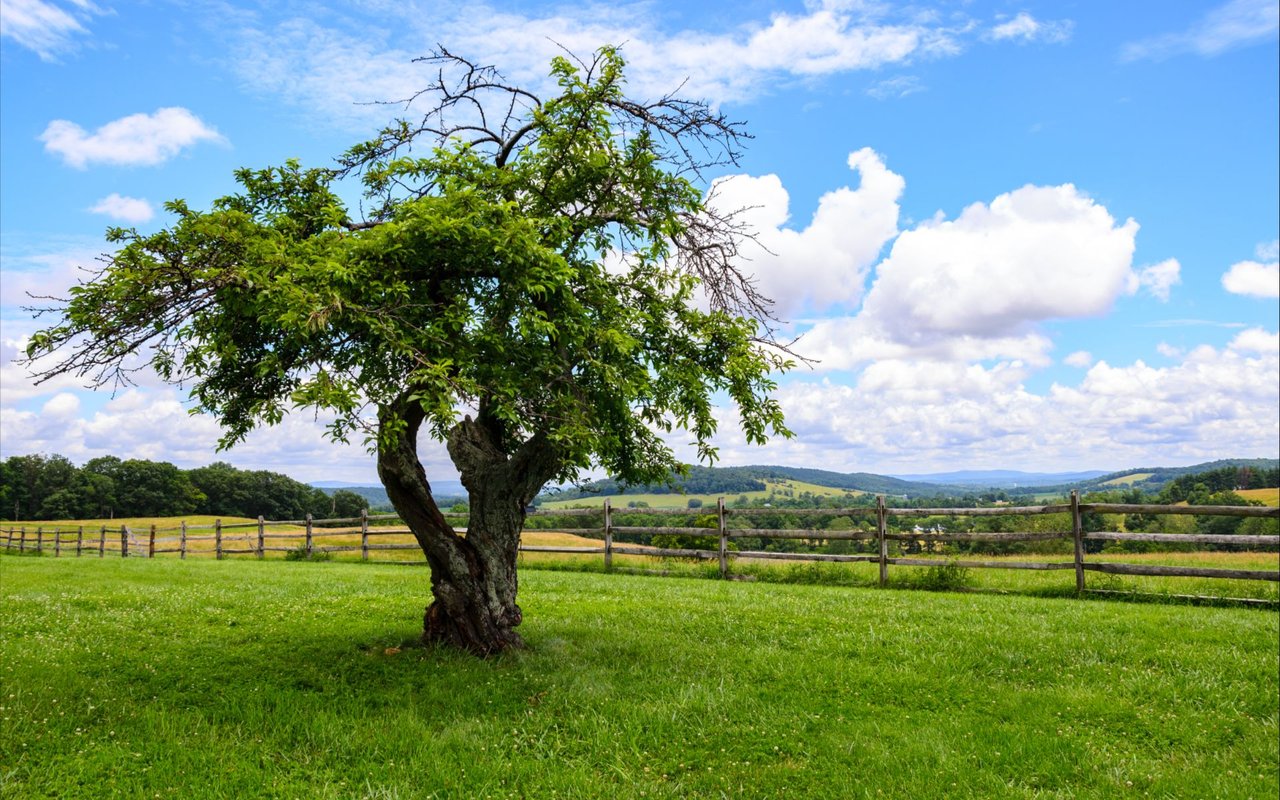 Fauquier County