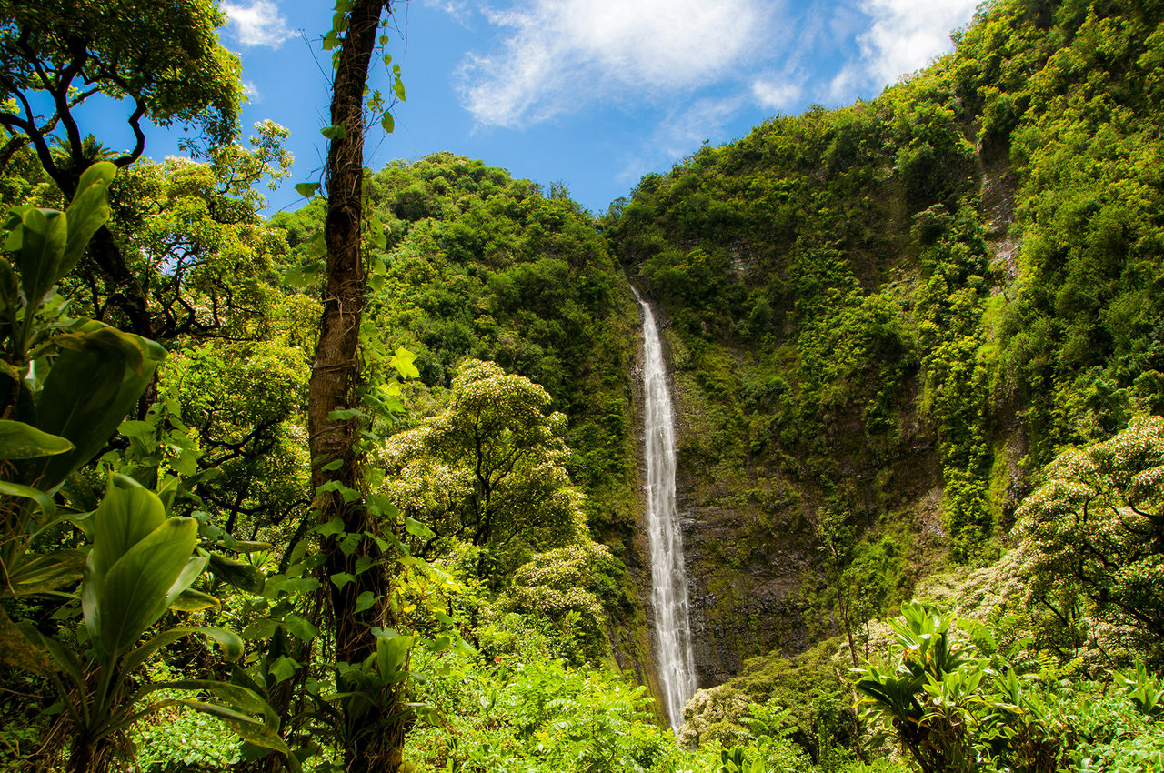 Maui