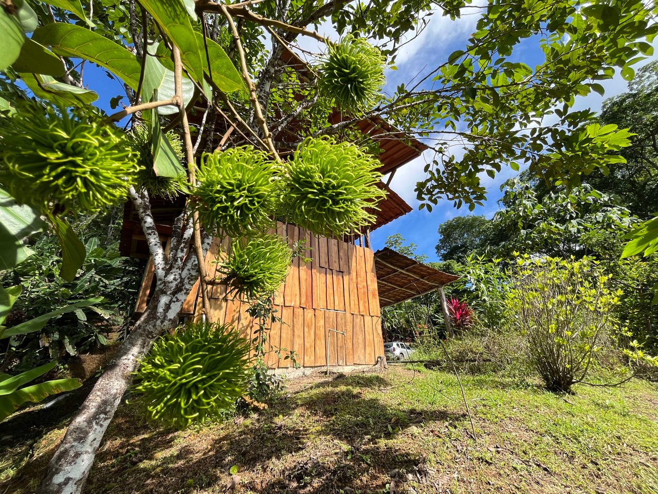 Costa Azul 120-degree Mountain View House With Costarican Wooden House as Lagniappe.