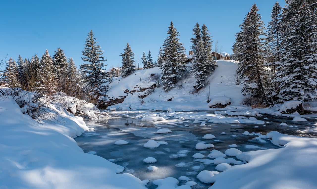 Silverthorne