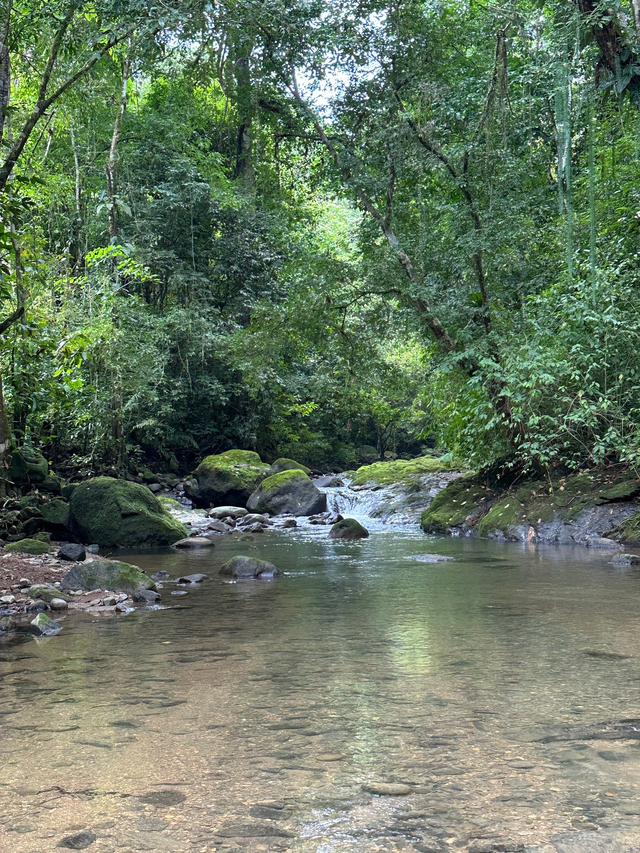 Jungle Oasis with River Frontage Near Dominical – 5.2 Acres of Pure Nature