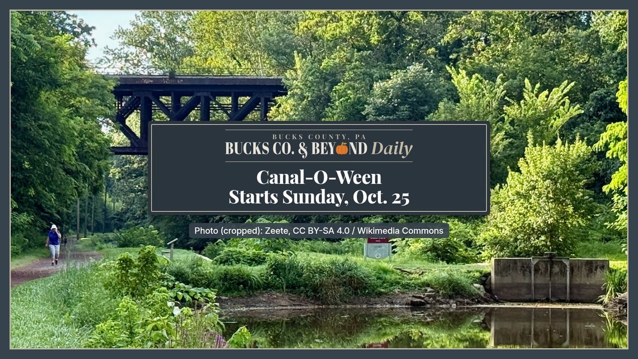 The Delaware Canal at Lock 5 in Yardley on a summer morning, with green trees on both banks and a dark railroad bridge crossing in the background.