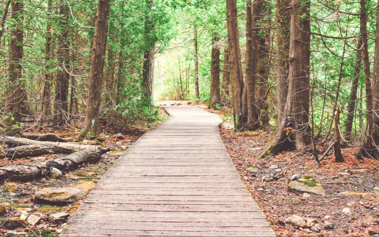 Take A Stroll, and Get Healthy on this Top Hiking Trails to Go on Sandy Springs, GA