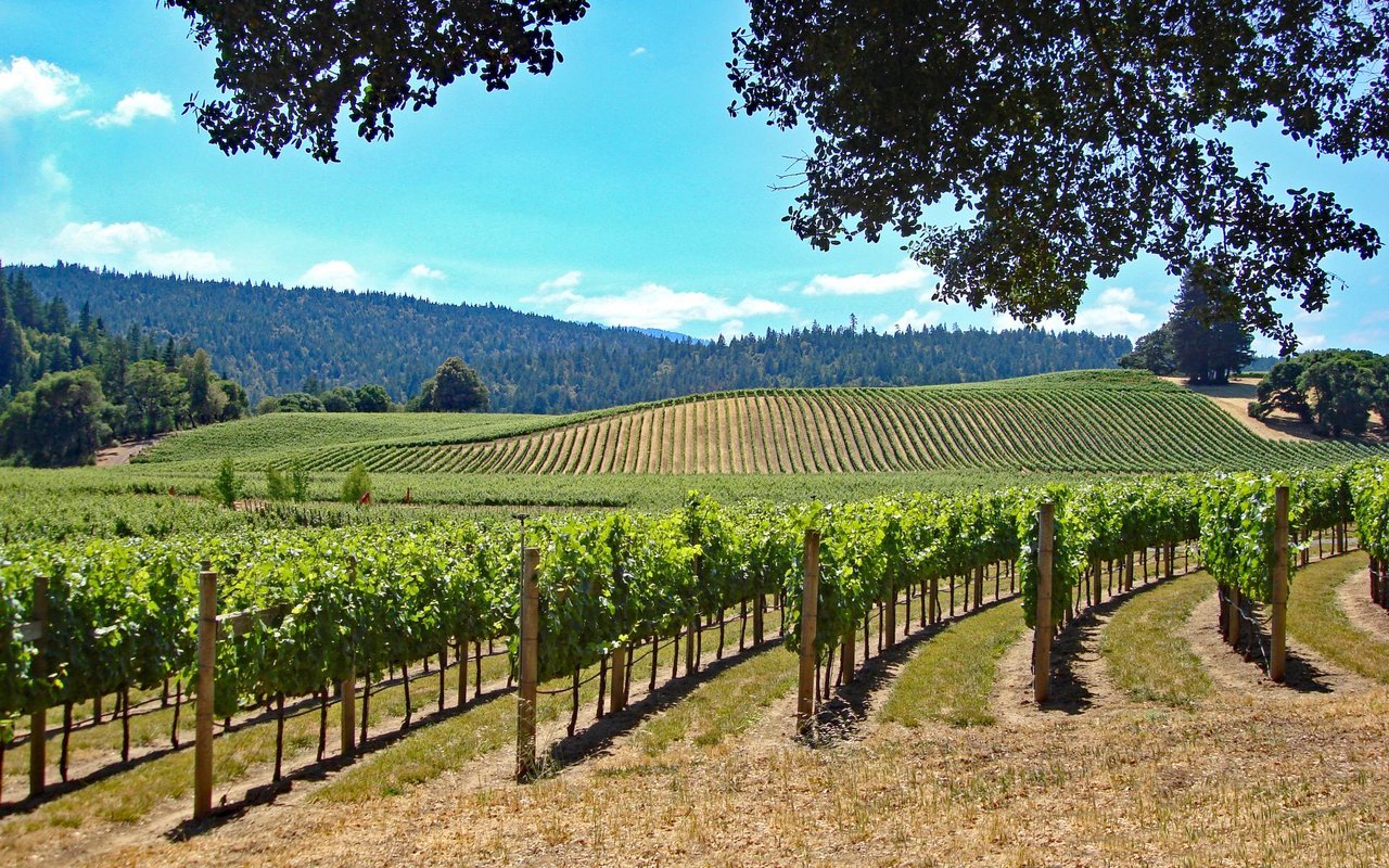Amador County
