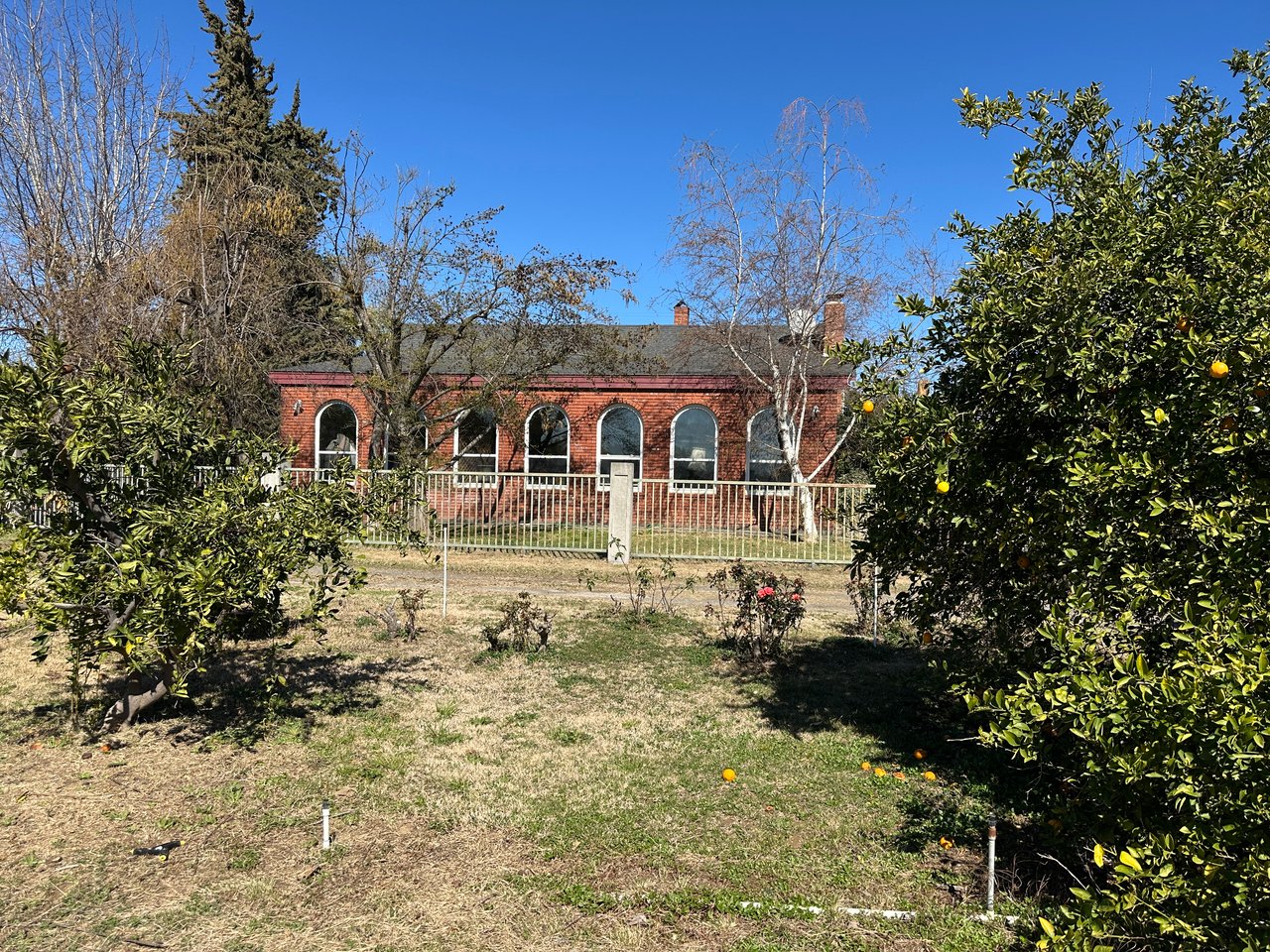 Olive Processing Plant with Olive Orchard & Residence