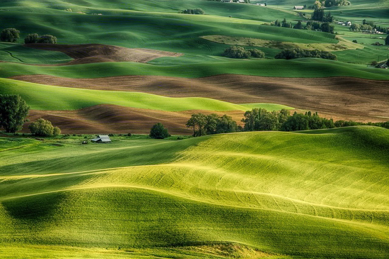 Palouse