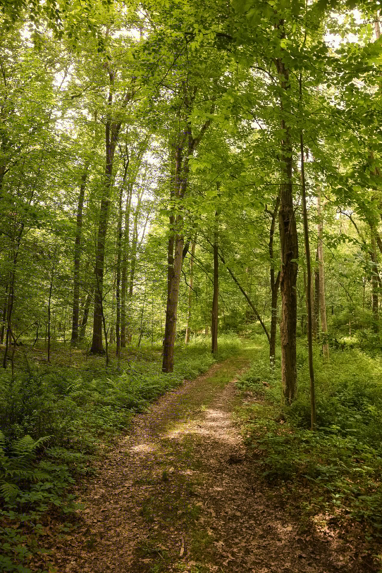 54 Fowler Lake Road, Ghent, New York