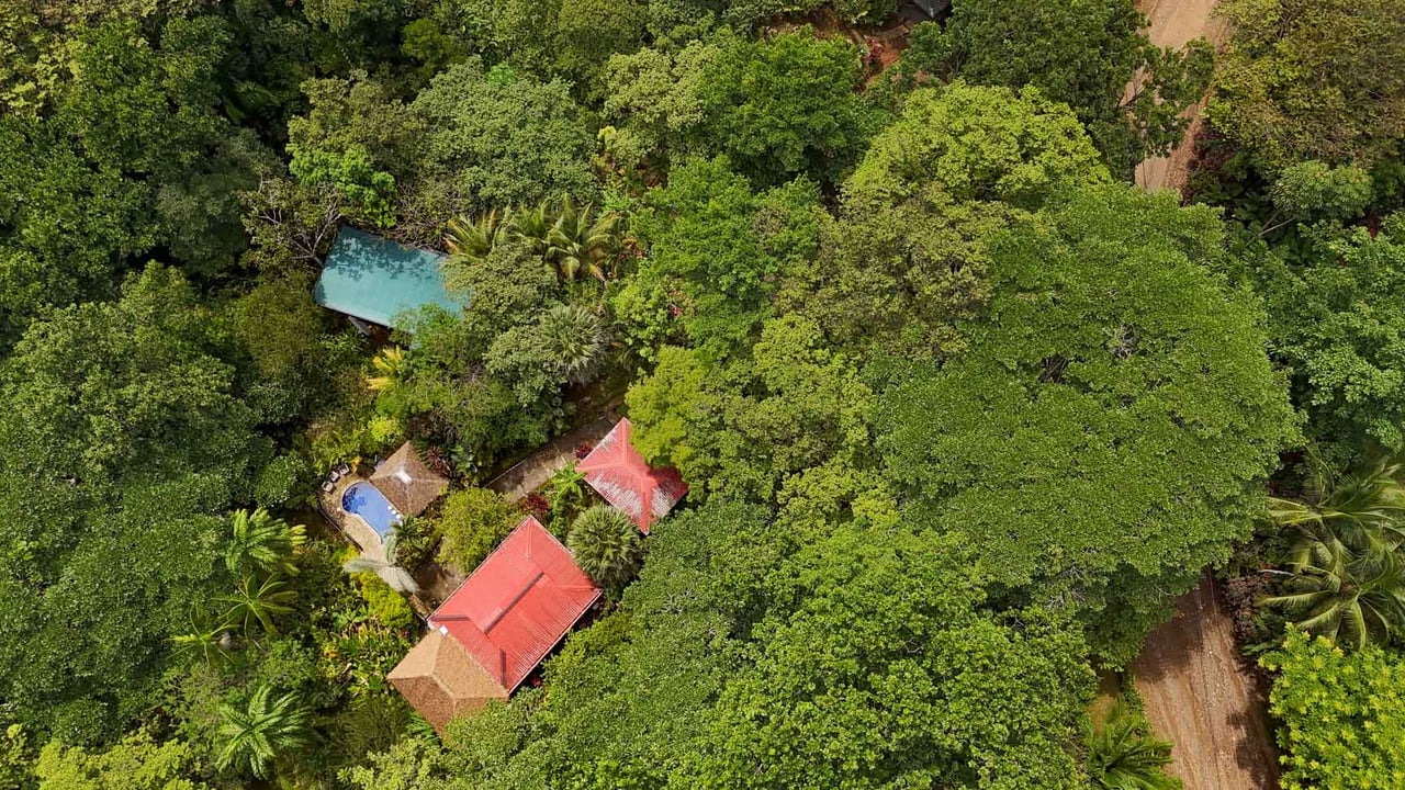 Ojochal Jungle Retreat for Sale with River, Pool, and Income-Generating Casitas