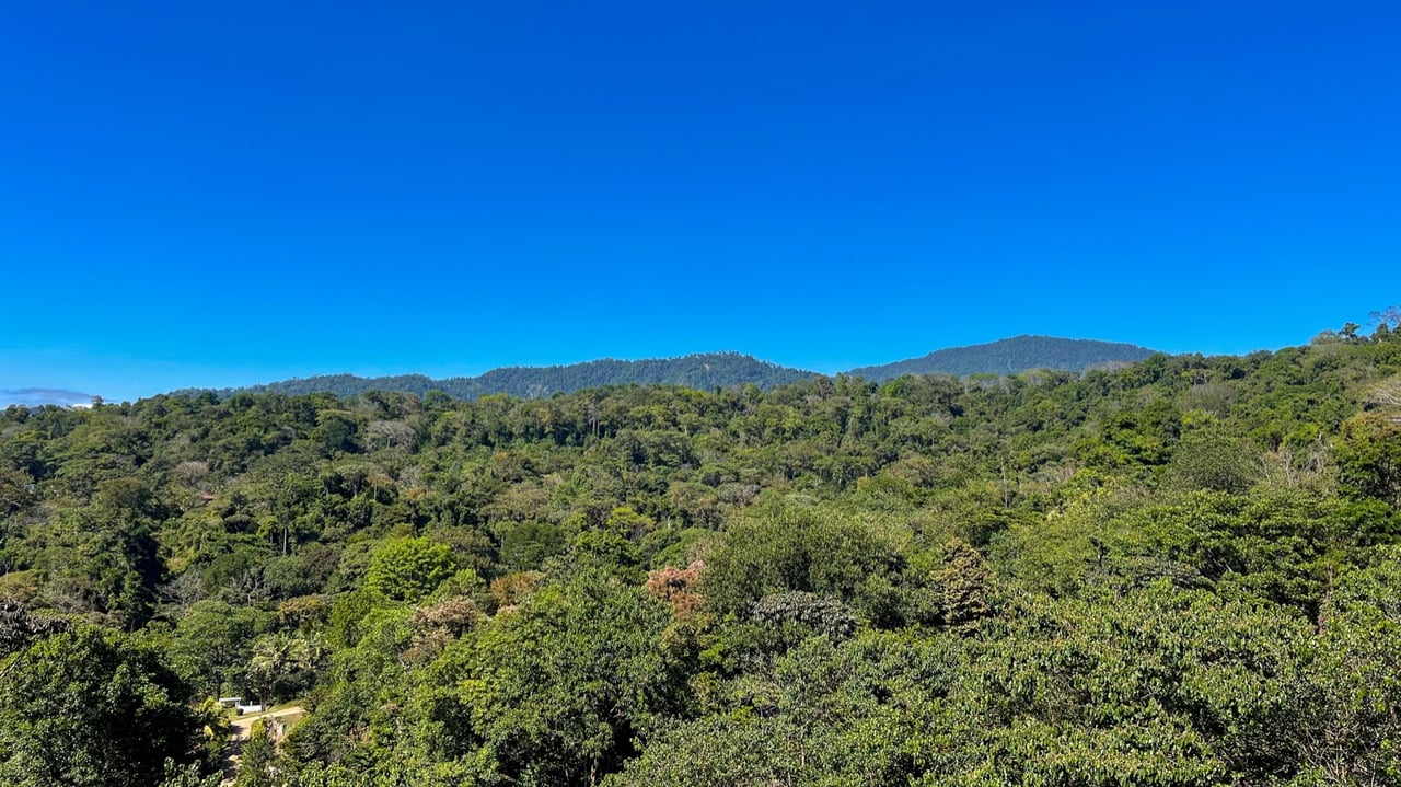 1.3-Acre Mountain View Land with 3 Building Sites in Uvita