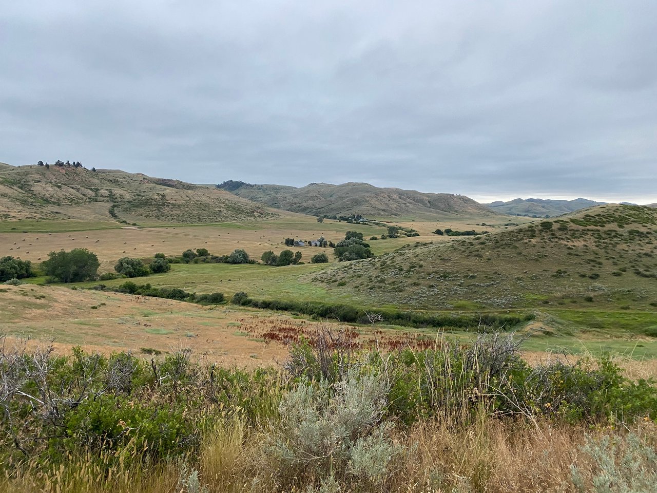 Dutch Creek Ranch 