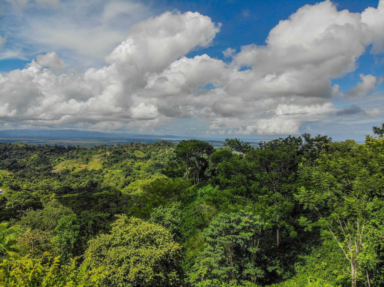 Ocean & Mountain View Half-Acre Lot in Gated Chontales Community