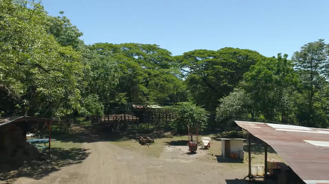 Strategic Cattle Ranch Development, Tamarindo, Guanacaste