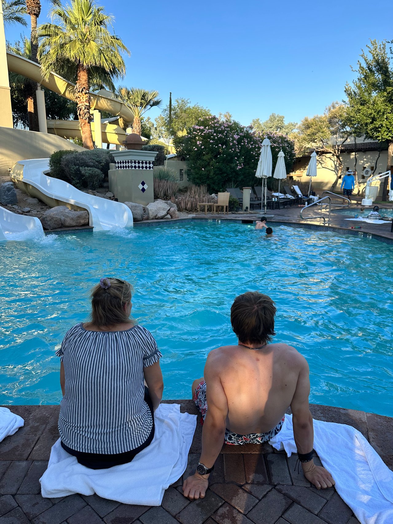 🐶☀️ The Dog Days of Summer: How Arizona Survives 117° Heat 🌵🔥