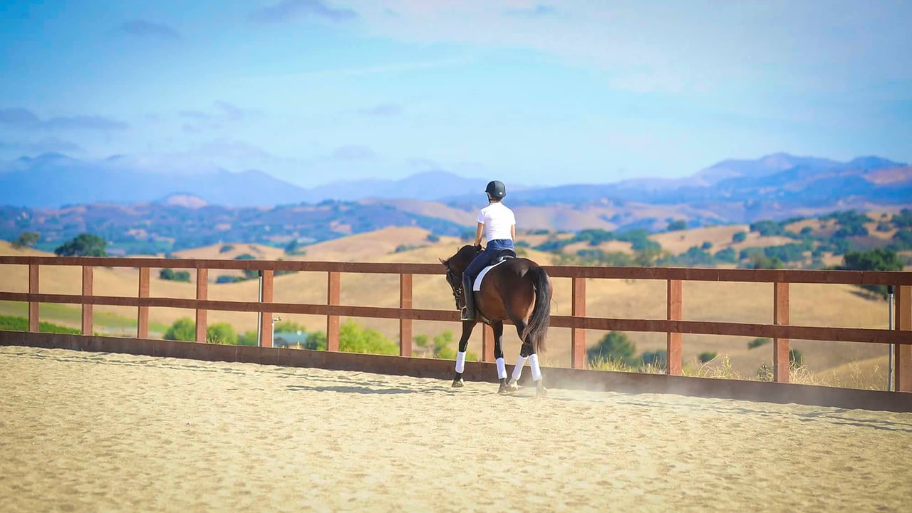 Where Tranquility meets Inspiration