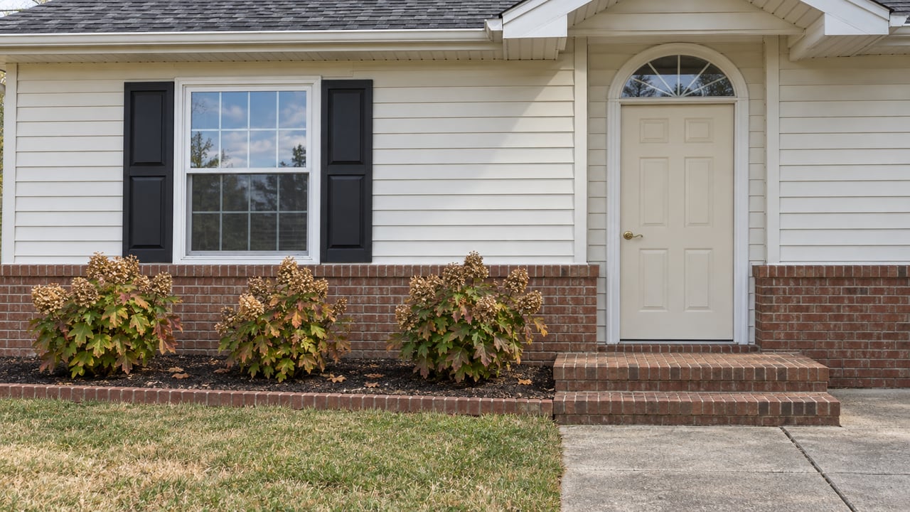 Ivory-sided home with a brick entry stoop, black window shutters and oakleaf hydrangeas turning autumn colors.