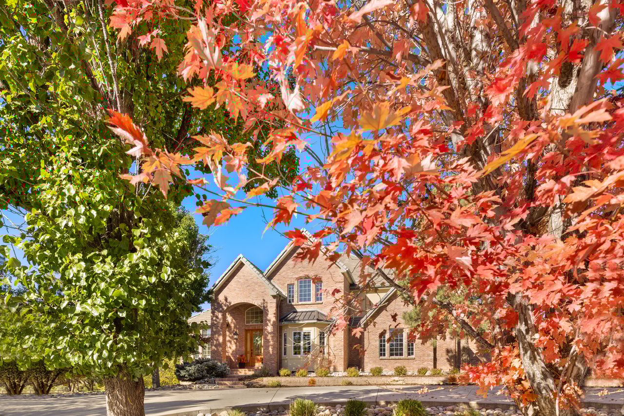 Entertainer's Dream Basement: 4637 Palmer Ridge Dr, Parker CO