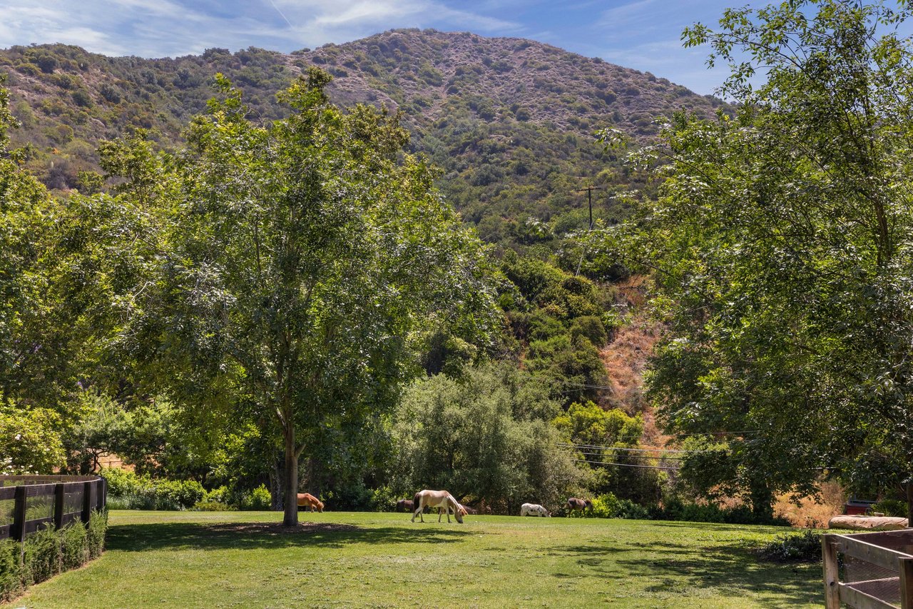 The Robert Taylor Ranch