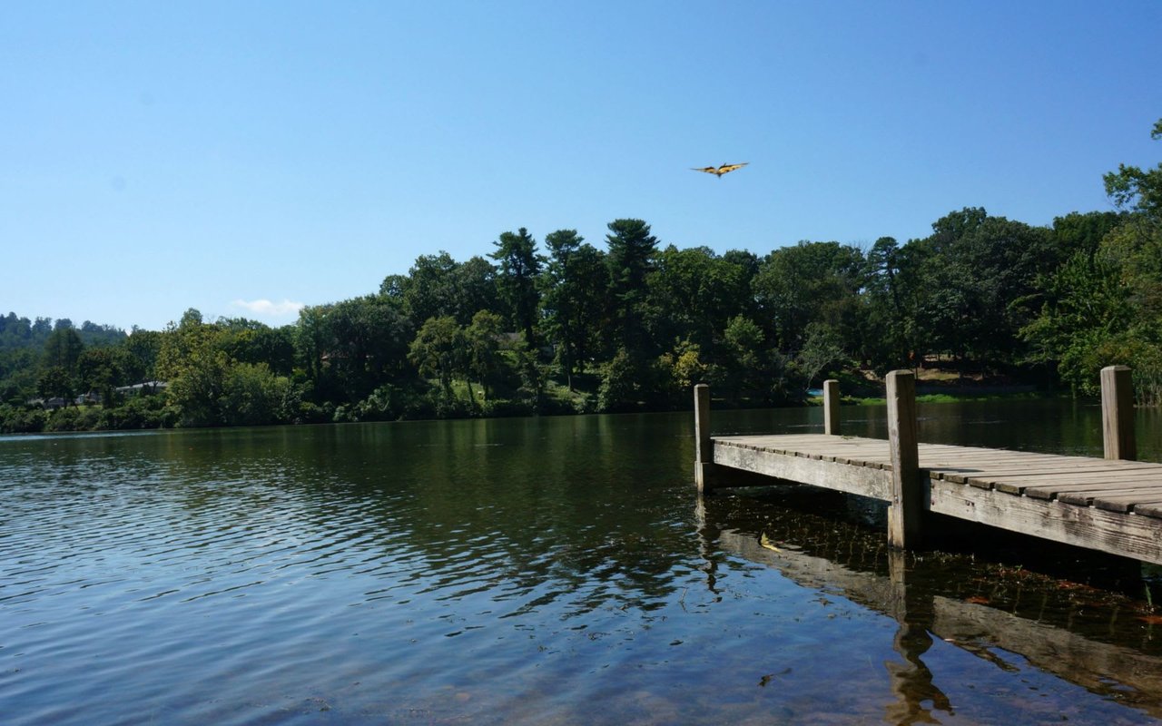 Lake View