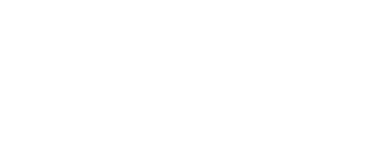 Light Logo