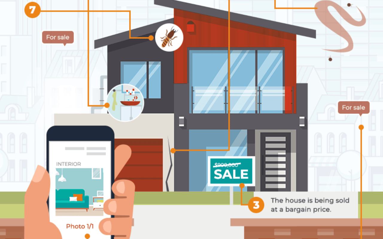 House-hunting red flags infographic with a modern home, termite callout, and bargain-price warning.