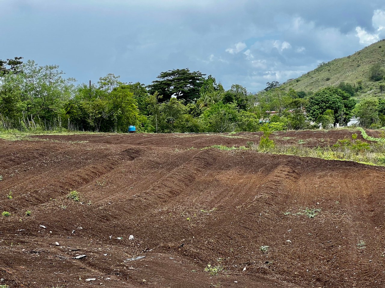 256  Acres  Precioso Coamo