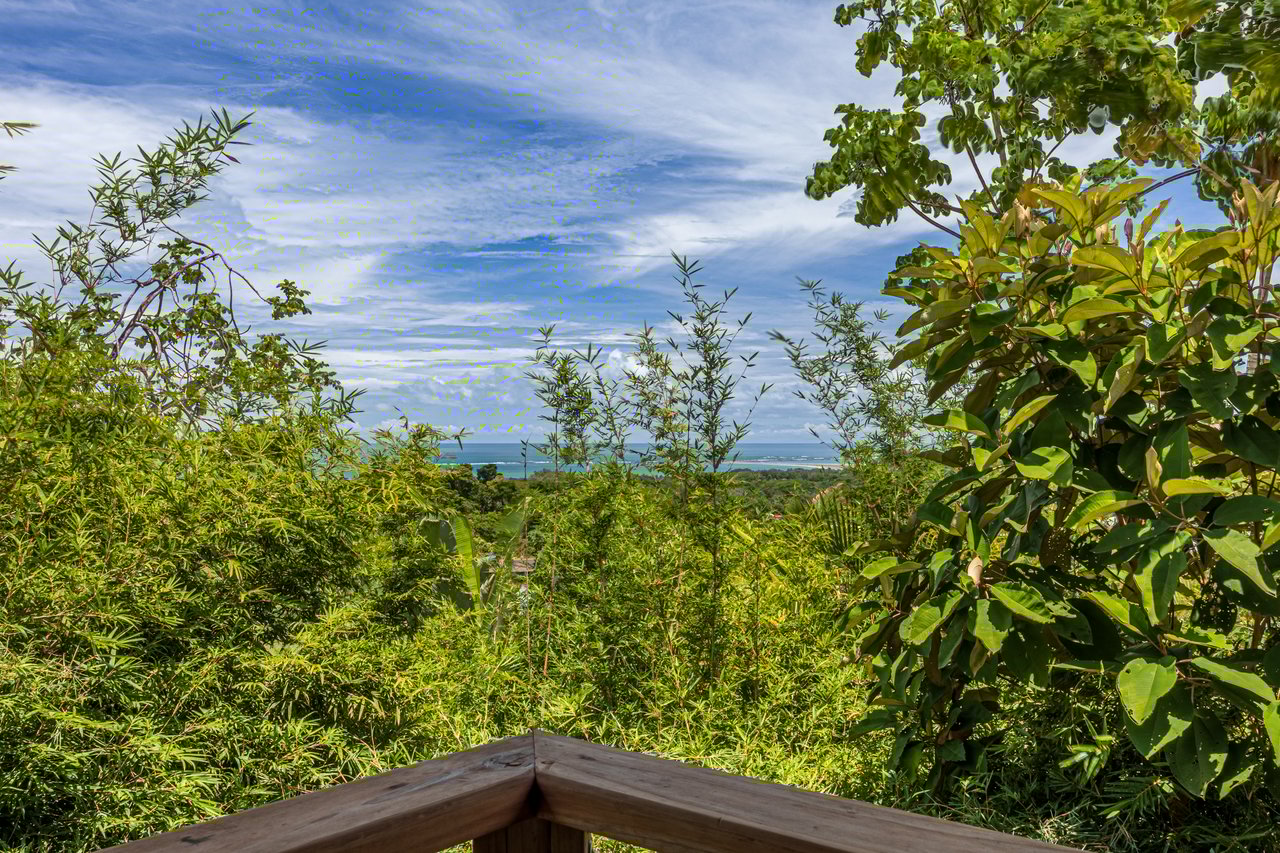 2.56 ACRES – 3 Bedroom Artistic Architectural Masterpiece, Recording Studio, Ocean View, Pool, 1 Bedroom Guest House!!!