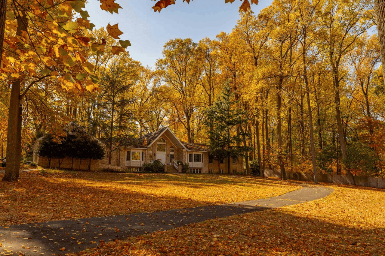 The Story Behind the Creek Road Transformation