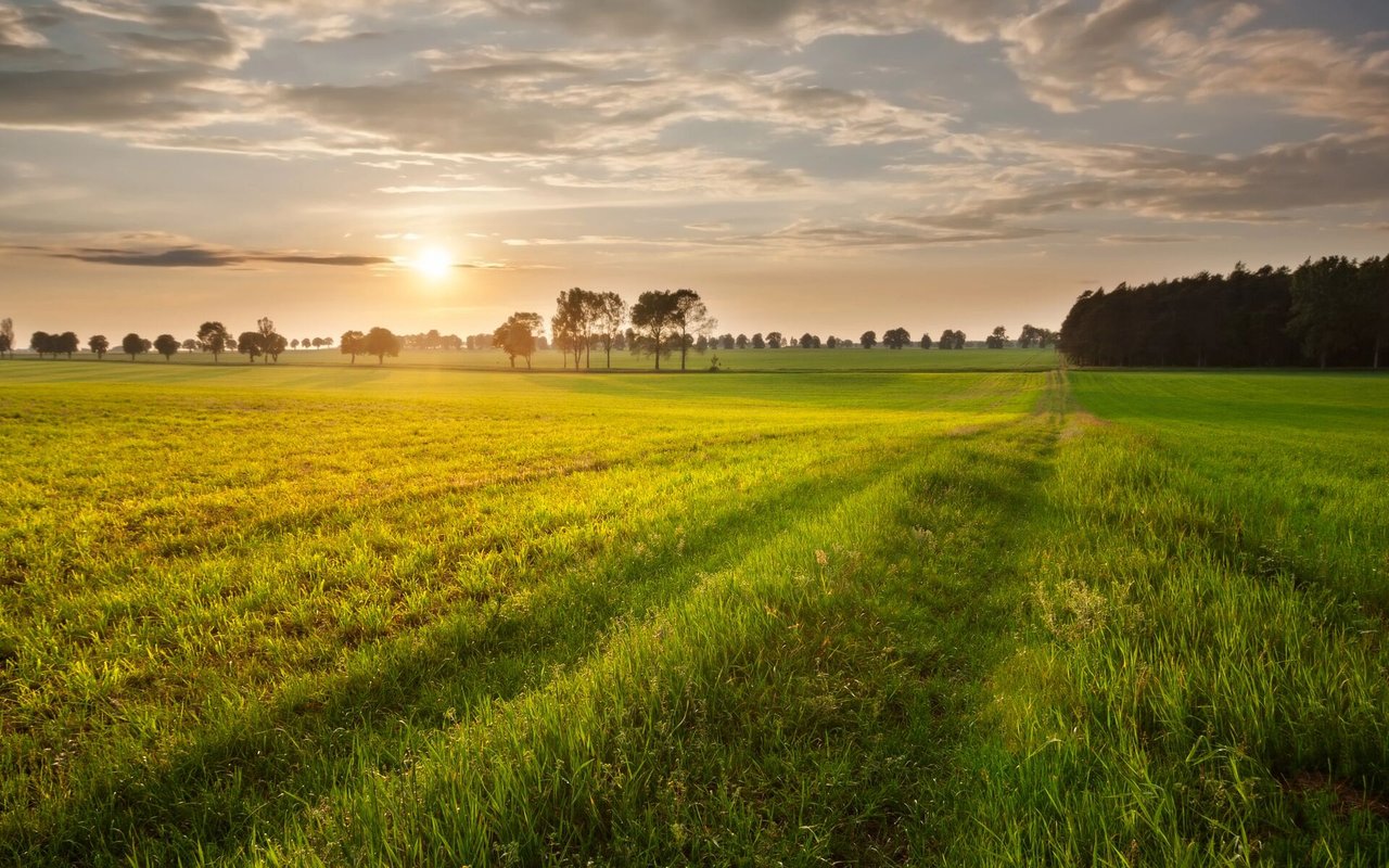 Buying Tillable Farmland in Wisconsin: What Smart Land Buyers Need to Know Before They Invest